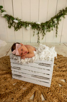 Sadie  may 2026