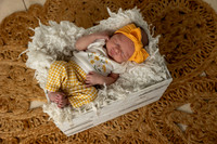 Jazlyn may 2026